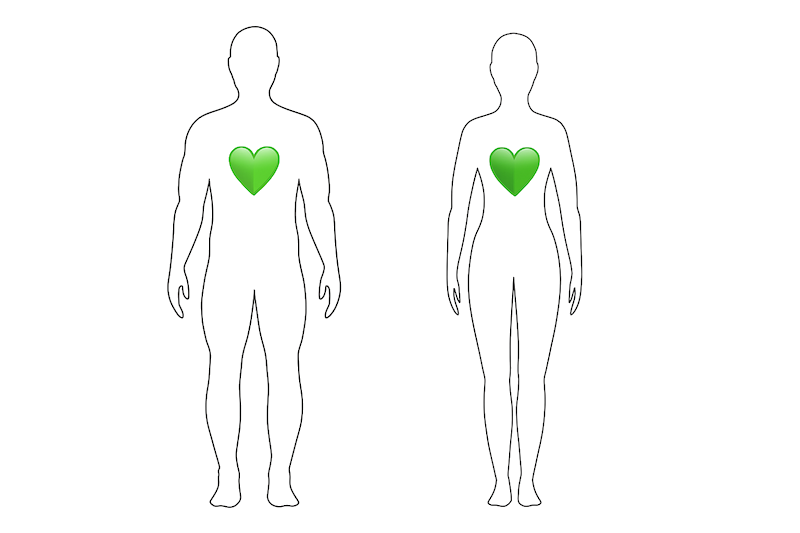 LaughMD body figures